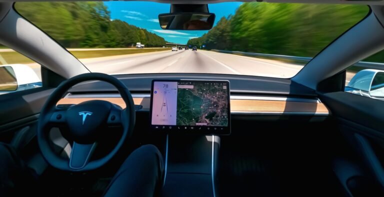 Tesla’s Self-Driving Service