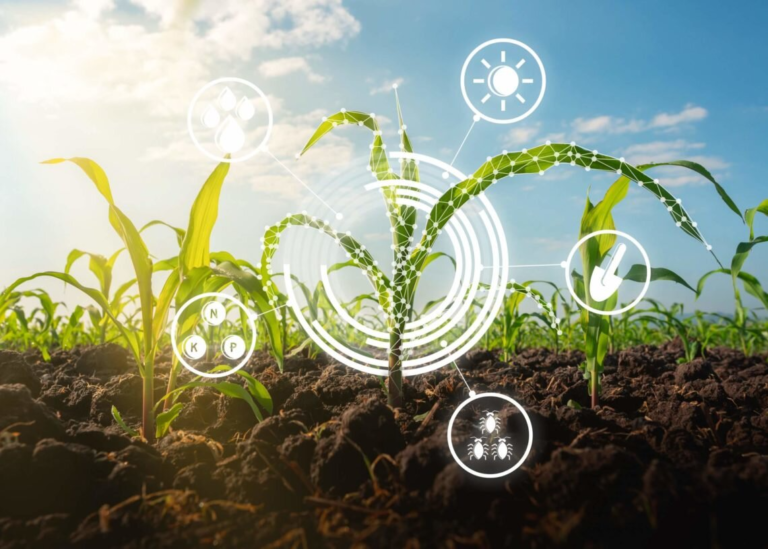 7 practices of sustainable agriculture